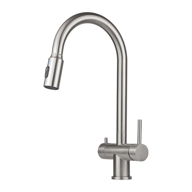 Pull out filter kitchen faucet